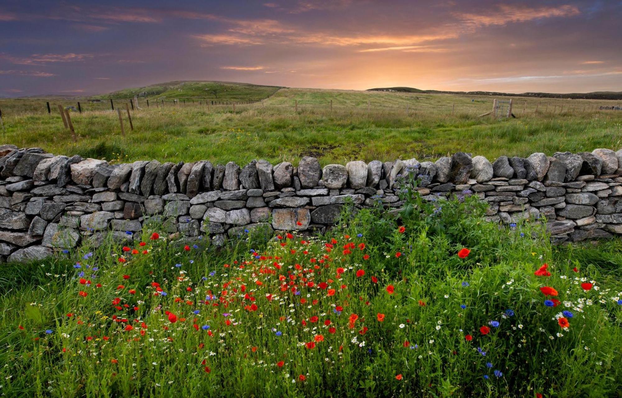 21 Callanish Luxury Pod Экстерьер фото